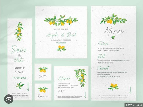 Organisez votre mariage en toutes sérénité - suite - 8