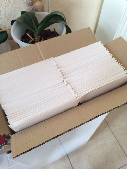 Semaine marathon - 6