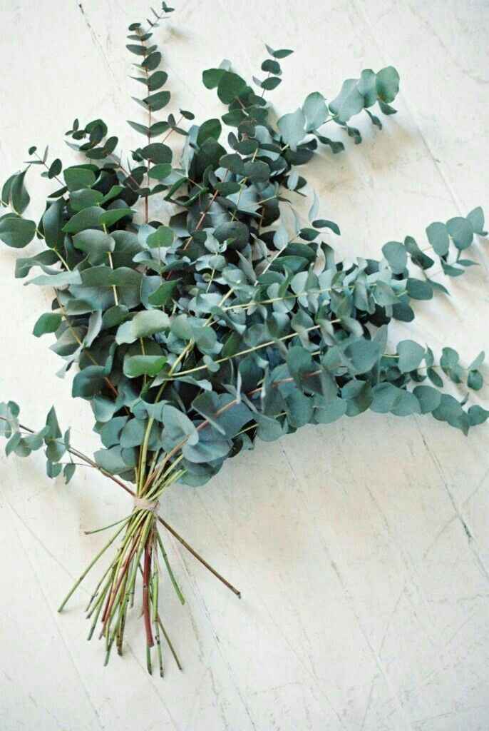 Ma déco : vert menthe , doré , blanc / succulente olivier et eucalyptus - 16
