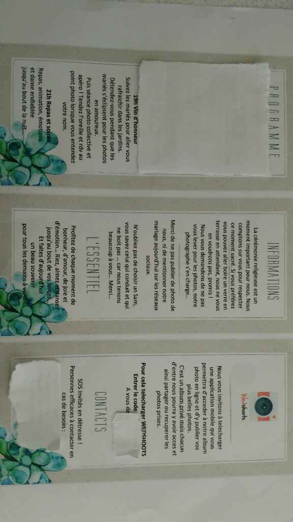 Ma déco : vert menthe , doré , blanc / succulente olivier et eucalyptus - 18