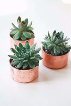 succulente cuivre table inspiration