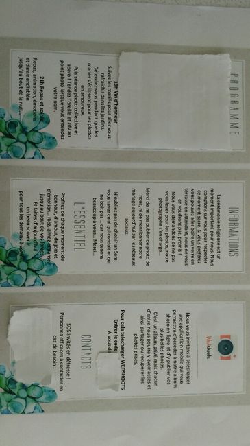 Ma déco : vert menthe , doré , blanc / succulente olivier et eucalyptus - 18