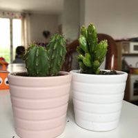 Cadeaux des invités - 1