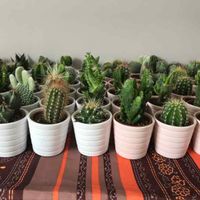 Cadeaux des invités - 2