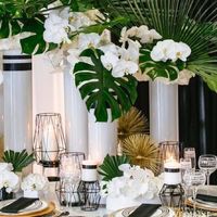 Theme tropical chic - 1