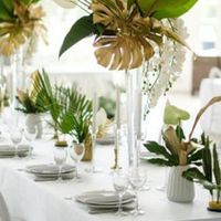 Theme tropical chic - 1