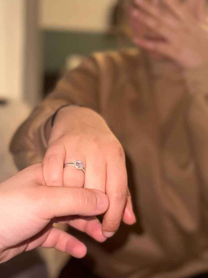 Demande en mariage - 1