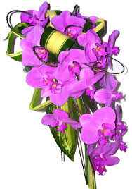 L'orchidée en bouquet - 1