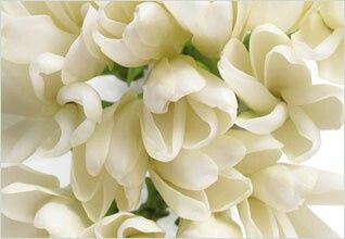 Les ronds de serviettes tropicaux 🍍😍 - 1