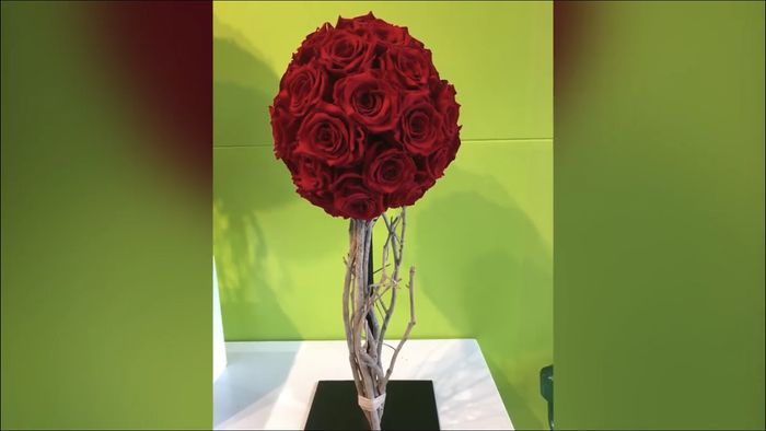 Fleurs 14