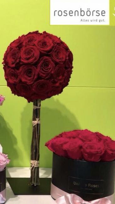 Fleurs 15