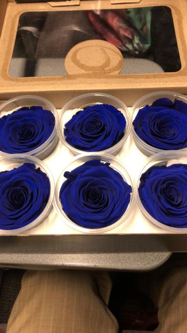 Fleurs 20