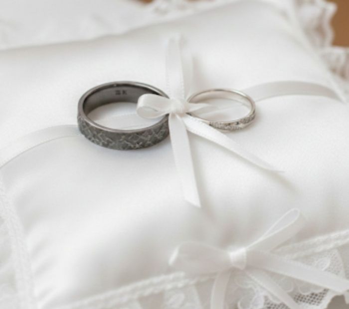 Nos alliances réunies 1