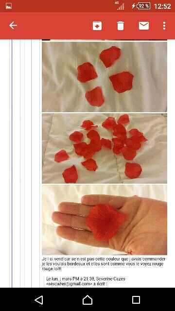 Pétales de roses en tissu - 1