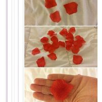 Pétales de roses en tissu - 1