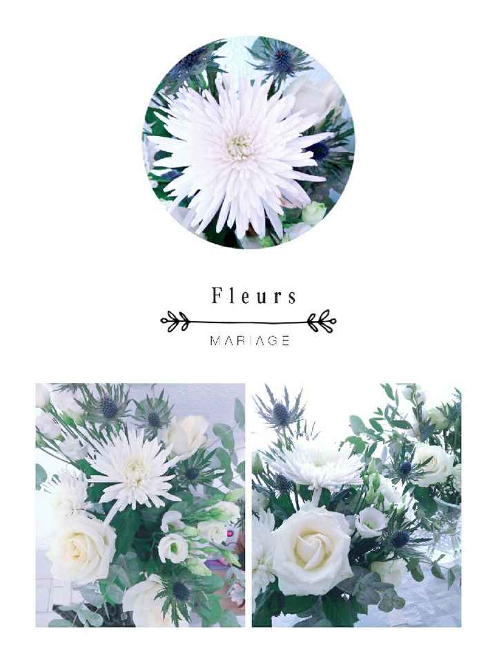  Et pourquoi pas de l'eucalyptus? - 1