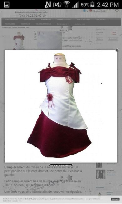 Robe dees demoiselle d'honneur - 2