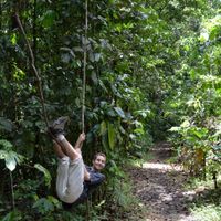 sentier de la maison de la forêt