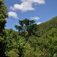 parc de l'habitation la Grivelière