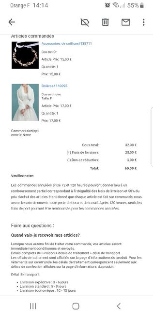 Veste/châle/cape sur robe princesse 1