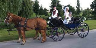 Véhicule des mariés 7