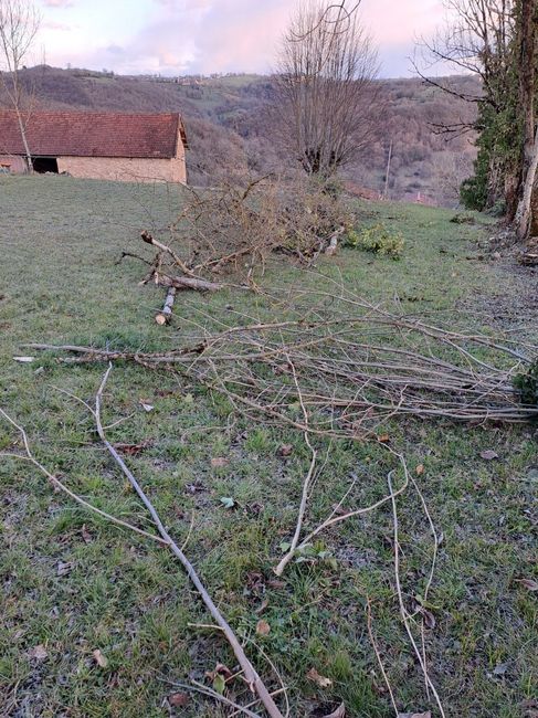 Avancée en vacances 2