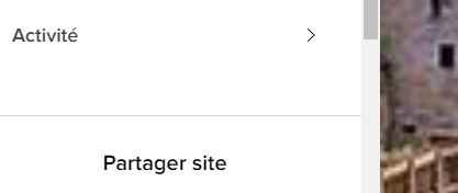 Questionnaire du site - 2