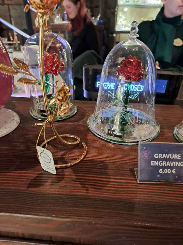 Mariage la belle et la bête - 1