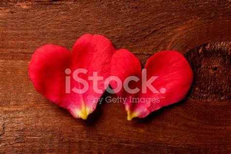 Mariage St Valentin - 10
