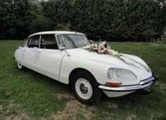 Voiture des mariés - 8
