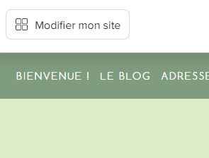 Problème avec mon site mariage.net - 1