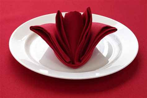pliage ou Déco de serviette de tables - 3