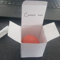 Demande témoin / demoiselle et garçon d'honneur fait maison - 2