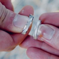 Alliances commandées - 1