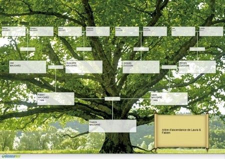 arbre en A0