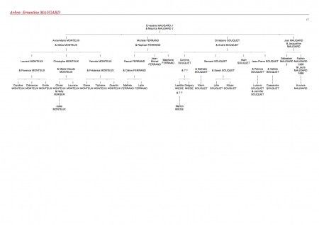 arbre descendance 2