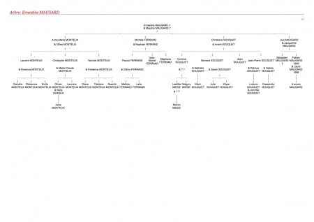 arbre descendance 2