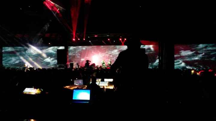 evjf 2014