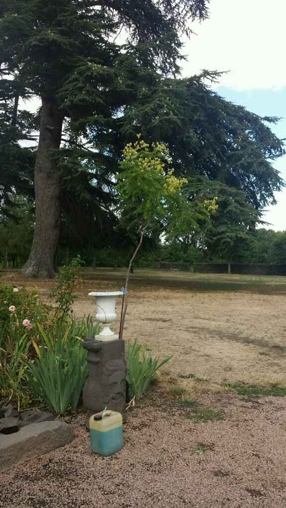 Chateau de Féligonde, Sayat - 1