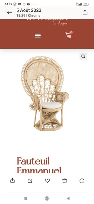 Fauteuils Emmanuelle 1