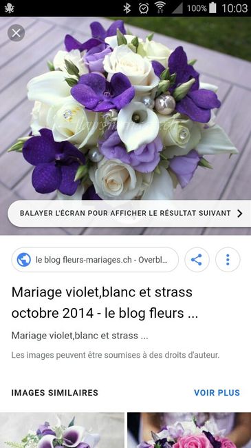 Bouquet violet à la recherche... - 1