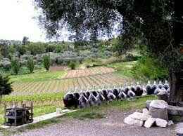 Lieu photo et vin d'honneur - 1