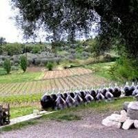 Lieu photo et vin d'honneur - 1