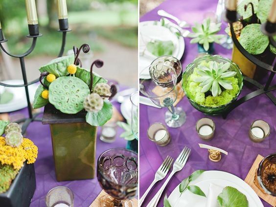 mini succulente a disposer un peux partout 