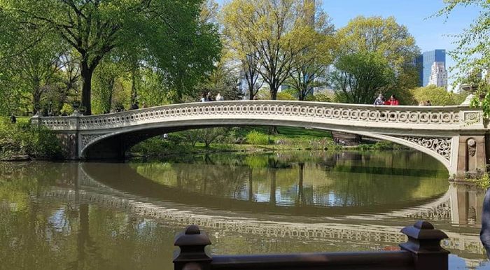 La demande en mariage 💍 9