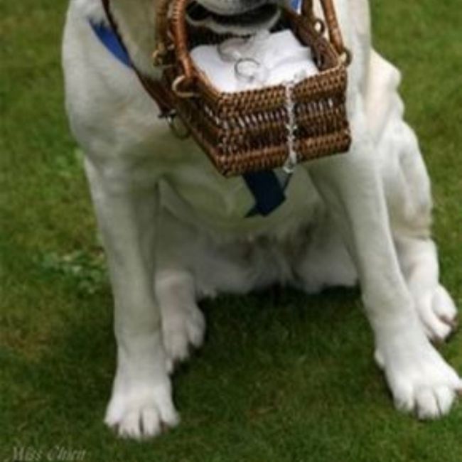 éChange alliances 2