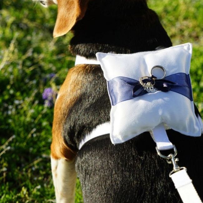 éChange alliances 3