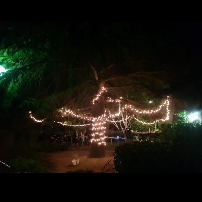 Derniers achats vinted 3