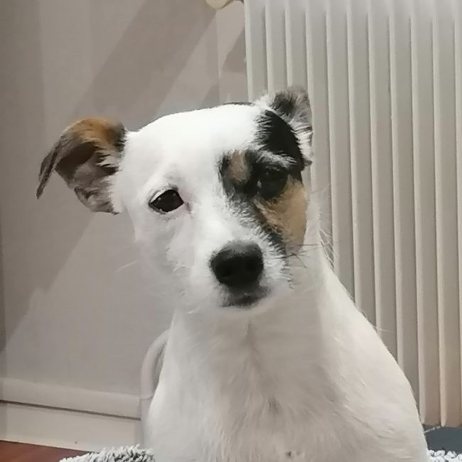 La mignonnerie du soir 🥰 5