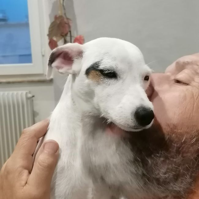 La mignonnerie du soir 🥰 6